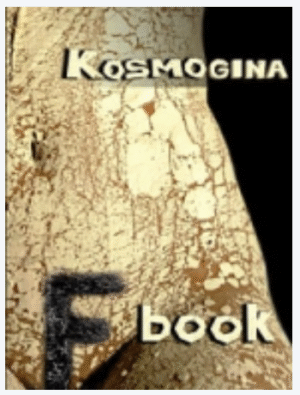 F BOOK (PREKO CRTE) – BILJANA KOSMOGINA